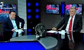 Georgia: Un gato interrumpió un programa de televisión | Canal N