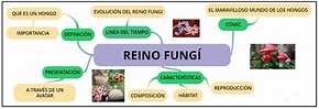 Mapa Mental Del Reino Fungi - Geno