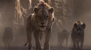 El Rey León muestra el primer vistazo a Scar en la película live-action ...
