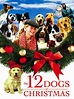 The 12 Dogs of Christmas (2004) - Kieth Merrill, Keith Merrill ...