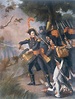 Guillaume Philibert Duhesme | Military art, French revolution, Napoleon