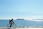 日本最美海天一色單車路線！騎進三河灣國家公園賞花去 | 旅奇傳媒 | LINE TODAY
