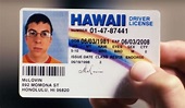 mclovin drivers license - The Adventures of Accordion Guy in the 21st ...