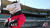 Arkansas Travelers Mascot Search - Introducing ACE - YouTube