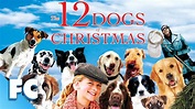 12 Dogs Of Christmas | Full Christmas Holidays Dog Comedy Movie ...