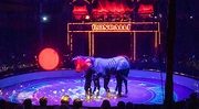 Circus Roncalli 2023 in Bonn: Vorstellungen von März bis April