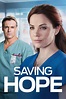 Saving Hope (TV Series 2012-2017) — The Movie Database (TMDB)