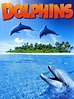 Dolphins Pictures - Rotten Tomatoes