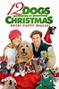 12 Dogs of Christmas: Great Puppy Rescue - Rotten Tomatoes