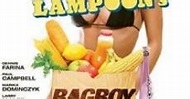 NATIONAL LAMPOON'S BAG BOY Full Movie (2007) Watch Online Free - FULLTV
