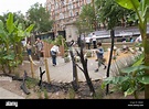 Ground Force s last garden A Garden for Africa at The British Museum ...