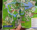 Animal Kingdom Map Printable