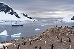 La Antártida supera los 20 ºC por primera vez en la historia - Ethic ...