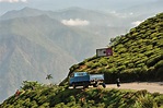 10 Most beautiful places to visit in Darjeeling | Wandertrails