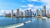 Centro de Miami, Miami - Reserva de entradas y tours | GetYourGuide