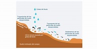 La erosión hídrica y sus procesos – CIDHMA Capacitaciones