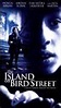 La isla de Bird Street (1997) - FilmAffinity