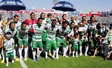 Club Santos Laguna | Biografía y Wiki | VAVEL México