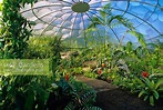 The Bio-Dome contain... stock photo by Rob Whitworth, Image: 0125691