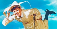 The Flying Nun Season 1 - watch episodes streaming online