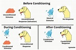 AQA classical conditioning | Teaching Resources