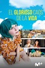 El glorioso caos de la vida - mundoplus.tv