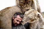 Pictures show bond between lion whisperer Kevin Richardson and his ...