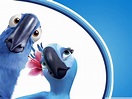 Rio Angry Birds HD Wallpaper & All Character Posters ~ Cartoon Wallpapers
