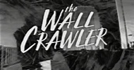 The wall crawler (1998) - MNTNFILM