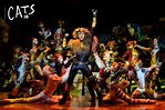 Buy Cats the Musical Stage Tickets Beijing