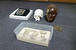 Crânio de Luzia é encontrado nos escombros do Museu Nacional ...