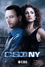 CSI: Nueva York (Serie de TV) (2004) - FilmAffinity
