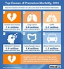 Top Causes of Premature Mortality | The Leading Business Education ...