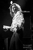 Michael Anthony Franano - The Front Photograph by Concert Photos - Fine ...