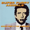 Song of the Day (extra credit): Super Furry Animals "Something 4 the ...