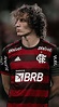 David luiz || Flamengo em 2022 | Flamenguista, Flamengo wallpaper, Time ...