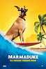 Marmaduke Pictures - Rotten Tomatoes
