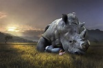 How We Can Help Animals From Extinction? | Nature World News
