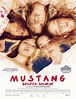 "Mustang: Belleza Salvaje", la película turca que busca ganar el Oscar ...