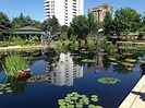 Denver Botanic Gardens | Denver botanic gardens, Botanical gardens ...