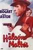 El halcón maltés - Película 1941 - SensaCine.com