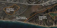 Torrey Pines Hiking Guide [2023]