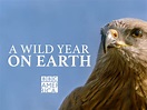 A Wild Year On Earth - Buy, watch, or rent from the Microsoft Store