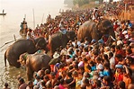 Sonpur Festival Bihar - Shikhar Travels