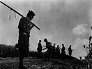 Akira Kurosawa: 10 essential films | BFI