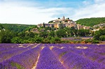 Visiting The Provence Lavender Fields In France | Rough Guides