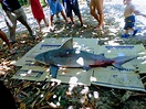 Tubarão azul de 4 metros é capturado na praia de Fortalezinha, nordeste ...