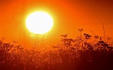 How does the current heatwave impact our intelligence