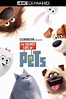 The Secret Life of Pets (2016) - Posters — The Movie Database (TMDB)