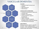 What is Vascular Dementia?